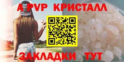 шишки Донской