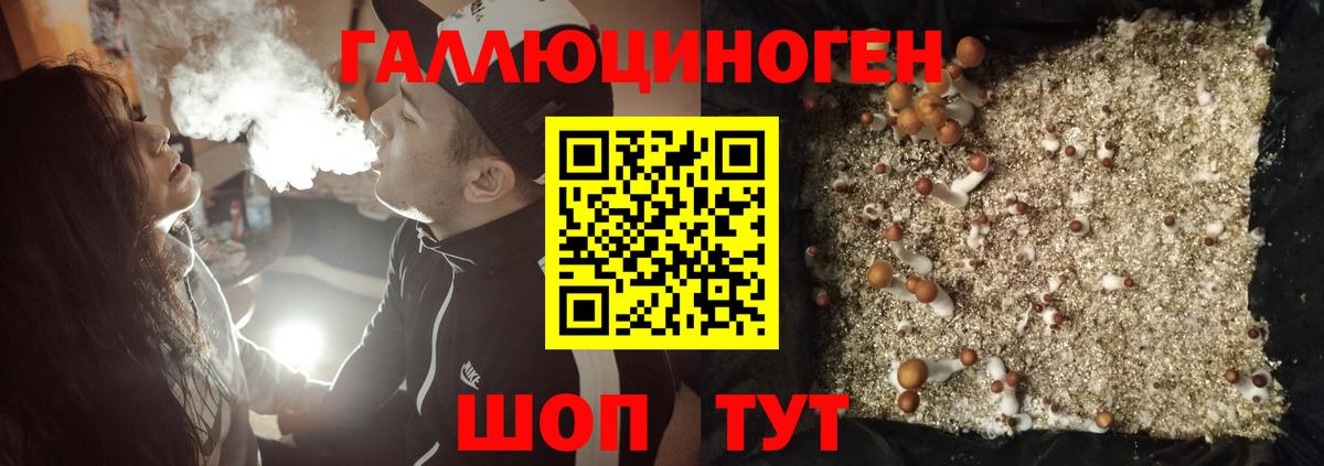 Псилоцибиновые грибы мицелий  Вход с VPN  Мурманск 