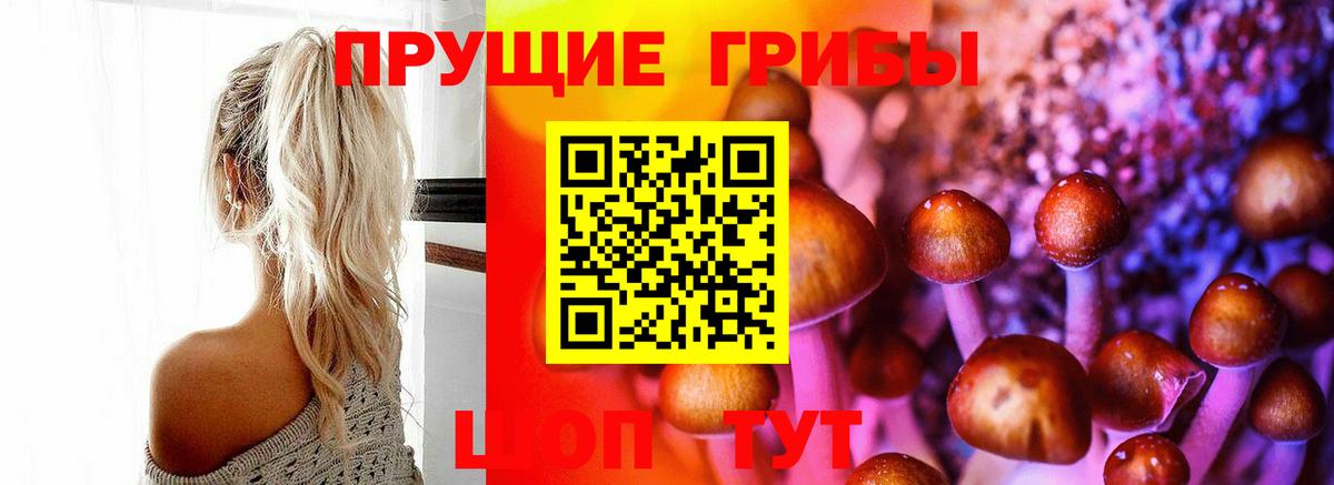 Галлюциногенные грибы ЛСД Мурманск